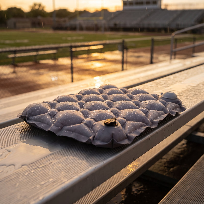 The Bleacher Crew cushion